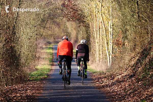 Cyklistický trénink zlepší kondici a nabízí celou řadu výletů