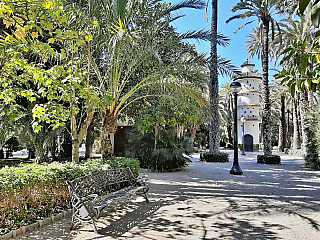 Největší palmový háj v Evropě najdete ve Španělsku (Španělsko)
