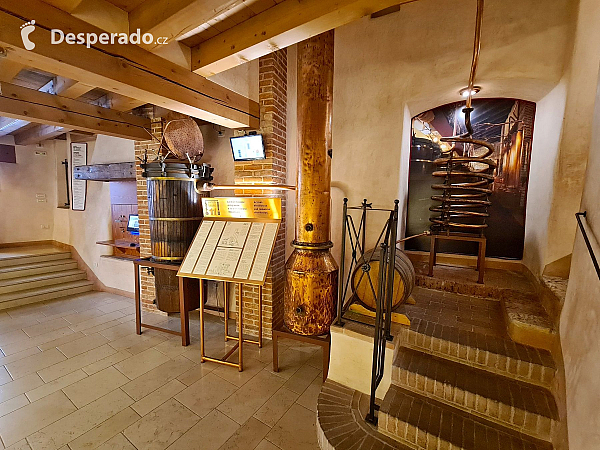 Poli Museo della Grappa v Bassano del Grappa (Veneto - Itálie)