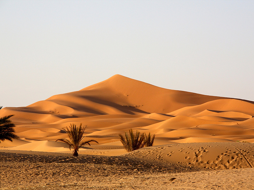 Sahara (Maroko)