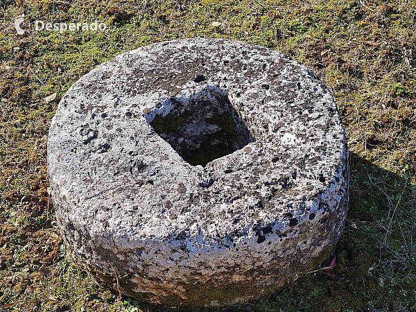 Veliký Brijun (istrie - Chorvatsko)