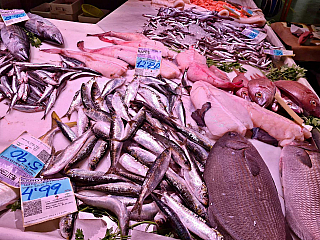 Mercado San Augustín v Granadě (Andalusie - Španělsko)