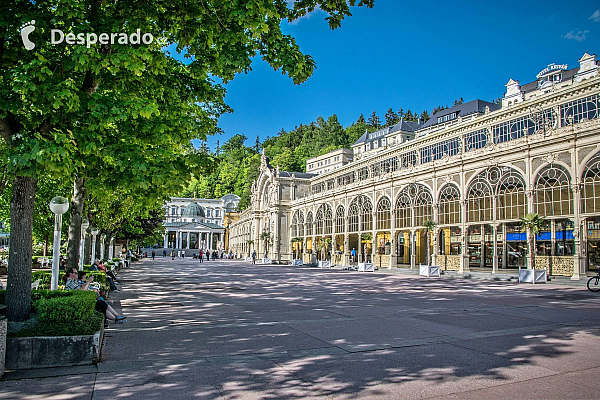 Karlovy Vary (Česká republika)