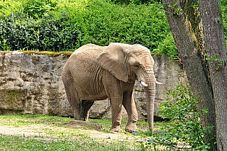 ZOO Zlín v Lešné (Česká republika)