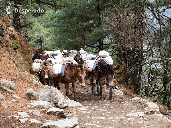 19.3.2023 Lukla a Namche Bazaar