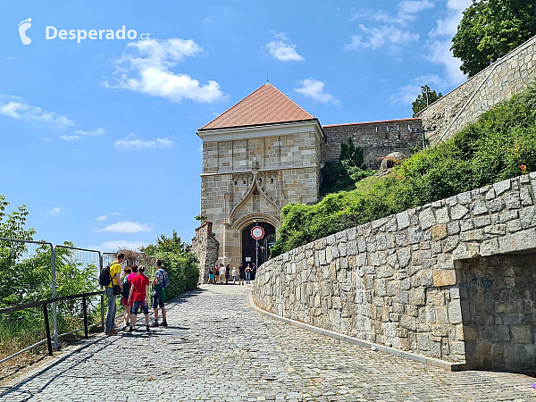 Bratislavský hrad (Slovensko)