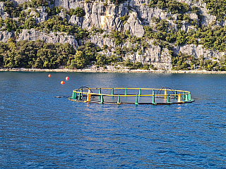 Limský záliv (Istrie - Chorvatsko)