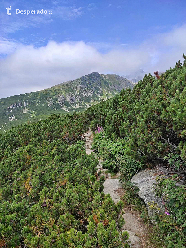 Furkotská dolina (Vysoké Tatry - Slovensko)