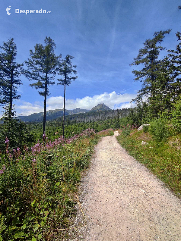 Furkotská dolina (Vysoké Tatry - Slovensko)