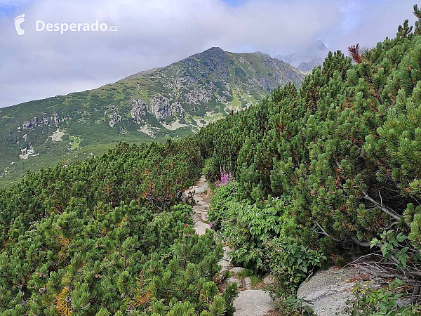 Furkotská dolina (Vysoké Tatry - Slovensko)