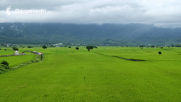 Taiwan