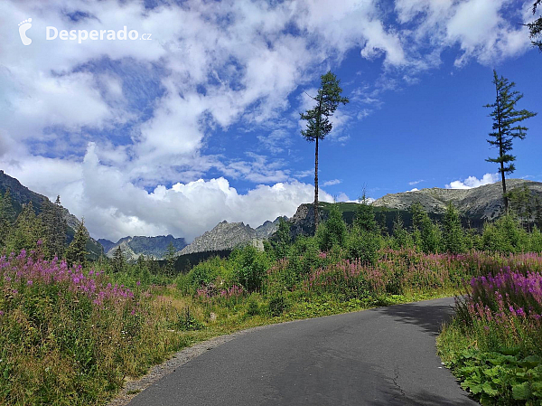 Popradské pleso (Slovensko)