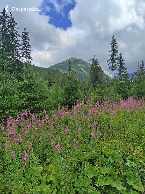 Popradské pleso (Slovensko)