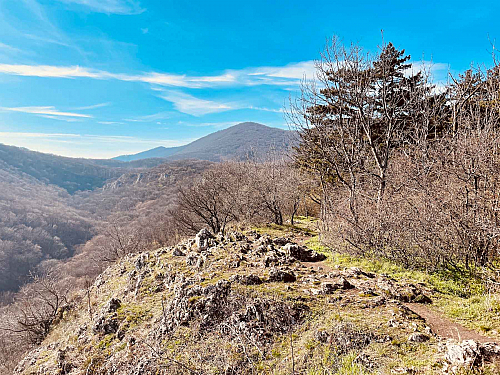 Záruby: Najvyšší vrch v Malých Karpatoch (Slovensko)