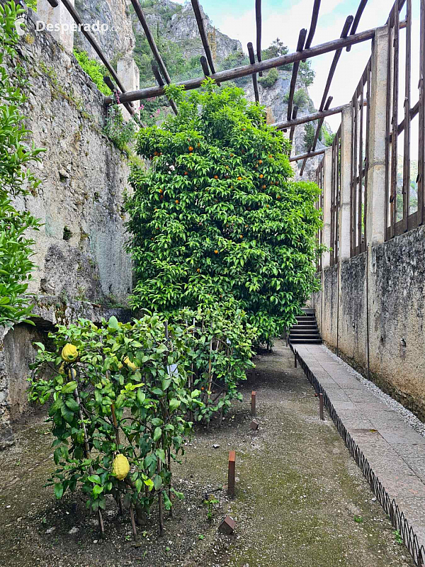 Limonaia del Castèl  v Limone Sul Garda (Lombardie - Itálie)