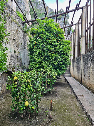 Limonaia del Castèl  v Limone Sul Garda (Lombardie - Itálie)