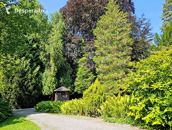 Arboretum Bílá Lhota na Hané (Česká republika)