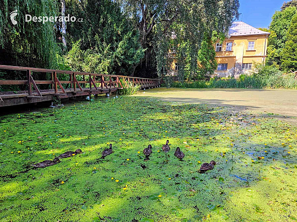 Arboretum Bílá Lhota na Hané (Česká republika)