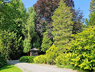 Arboretum Bílá Lhota na Hané (Česká republika)