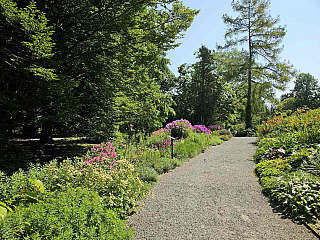 Arboretum Bílá Lhota na Hané (Česká republika)