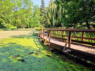 Arboretum Bílá Lhota na Hané (Česká republika)