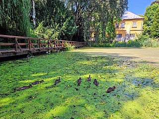 Arboretum Bílá Lhota na Hané (Česká republika)