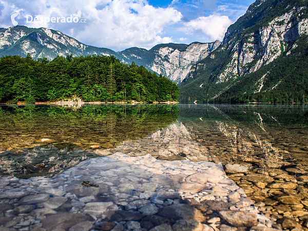 Bohinjské jezero (Slovinsko)