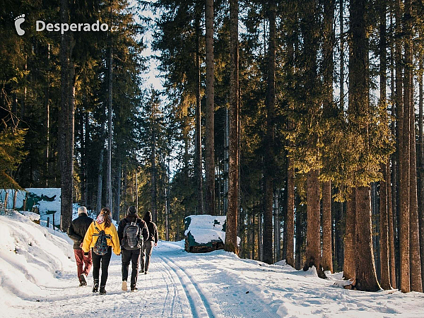 Úspěšné cestování ve skupině: Od plánování po zážitky