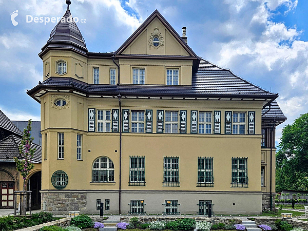 Vila Grossmann původně ze zadní strany (Ostrava - Česká republika)