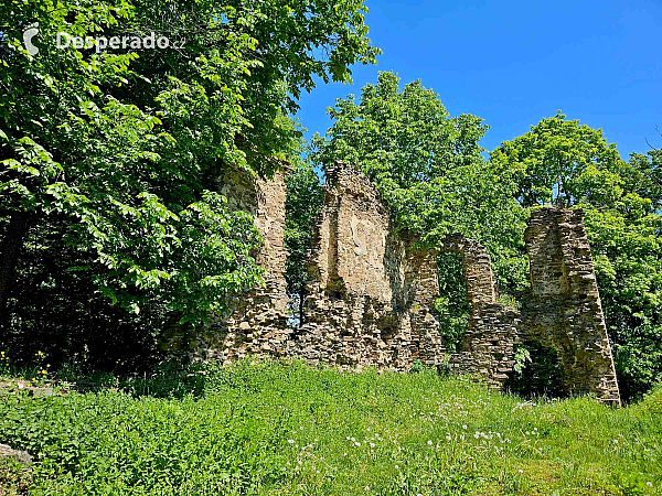 Hrad Vikštejn (Česká republika)