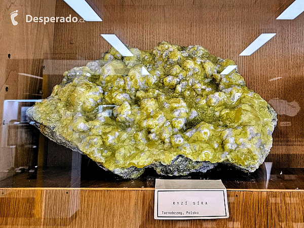 Geologický pavilon prof. F. Pošepného v Ostravě-Porubě (Česká republika)