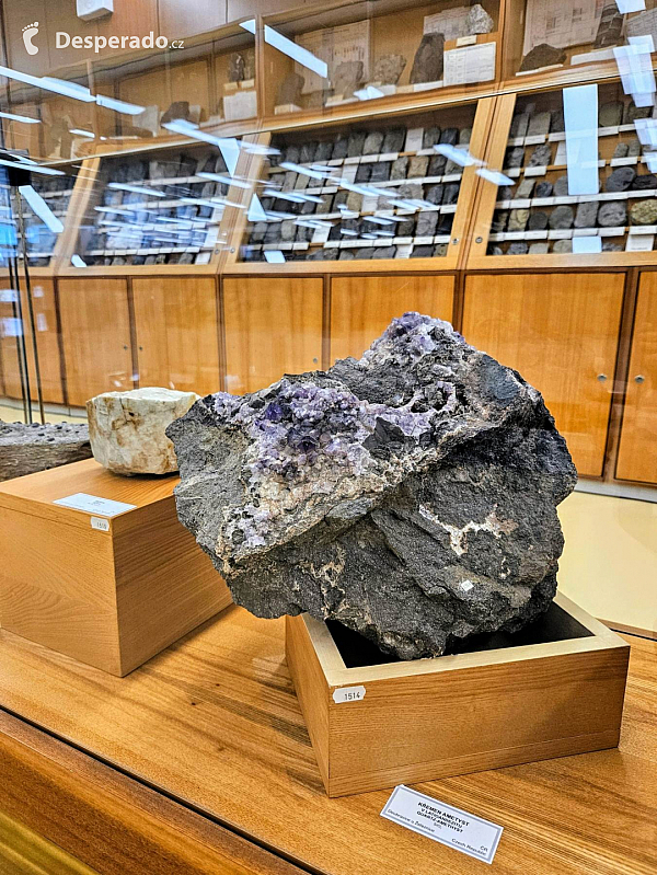 Geologický pavilon prof. F. Pošepného v Ostravě-Porubě (Česká republika)