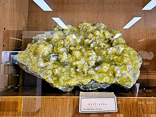 Geologický pavilon prof. F. Pošepného v Ostravě-Porubě (Česká republika)