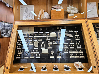 Geologický pavilon prof. F. Pošepného v Ostravě-Porubě (Česká republika)