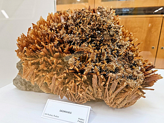 Geologický pavilon prof. F. Pošepného v Ostravě-Porubě (Česká republika)