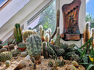 Tropic Hukvaldy (Česká republika)