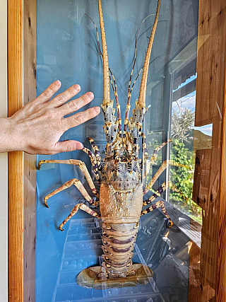 Tropic Hukvaldy (Česká republika)