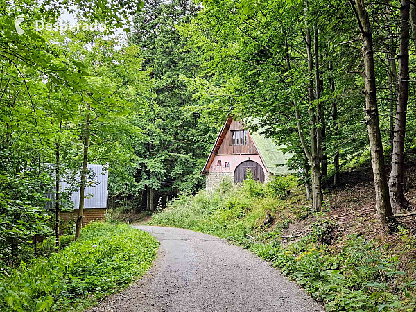 Medvědí skála (Česká republika)