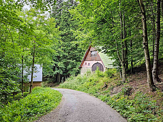 Medvědí skála (Česká republika)