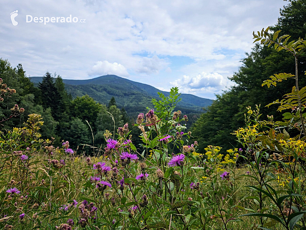 Víkendové cestování