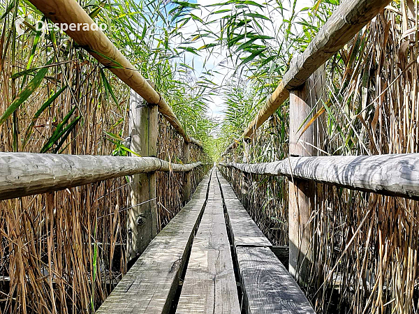 Víkendové cestování