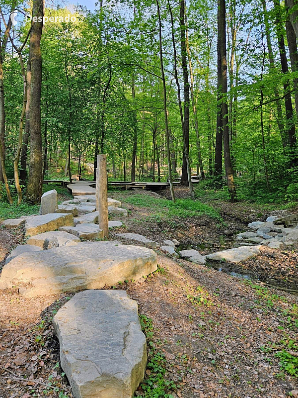 Cesta vody - chodníček (Bělský les - Ostrava)