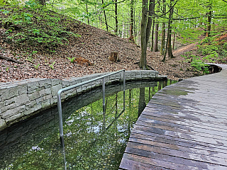 Cesta vody - koupel (Bělský les - Ostrava)
