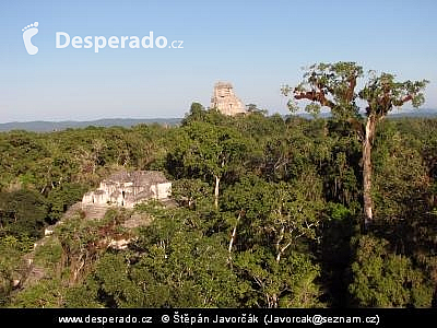 Tikal (Guatemala)