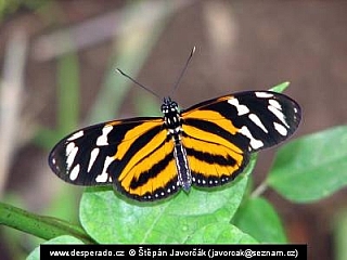 La Fortuna, Arenal (Kostarika)