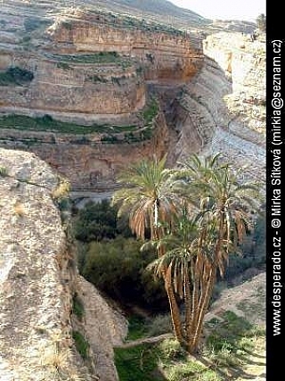 Skalnatá poušť (Tunisko)