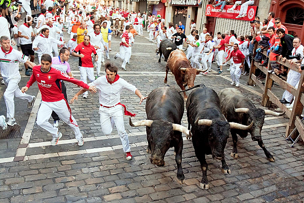 Běh s býky na svátek sv. Fermína v Pamploně (Navarra - Španělsko)