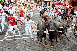Běh s býky na svátek sv. Fermína v Pamploně (Navarra - Španělsko)