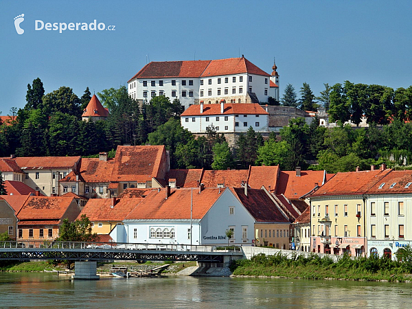 Ptuj (Slovinsko)