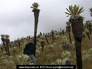 Páramo El Angel (Ekvádor)